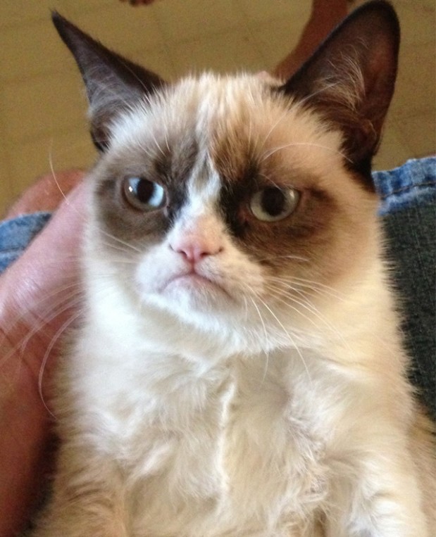varappcurrentsitesviikonloppu_comwebappuploads201306grumpycat-619×763.jpg