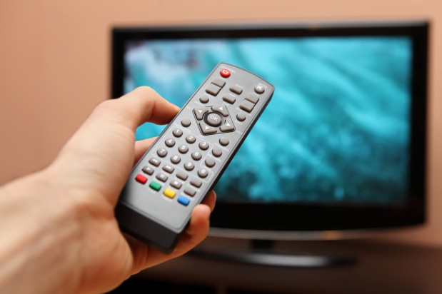 gielmichal / Shutterstock.com