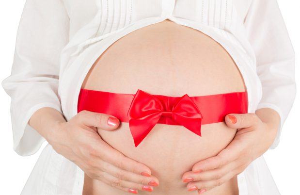 Mike Degteariov / Shutterstock.com