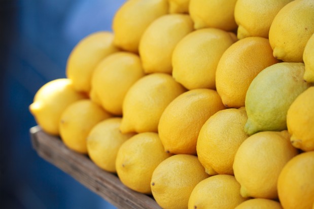 Shahsuvar Asadov / Shutterstock.com