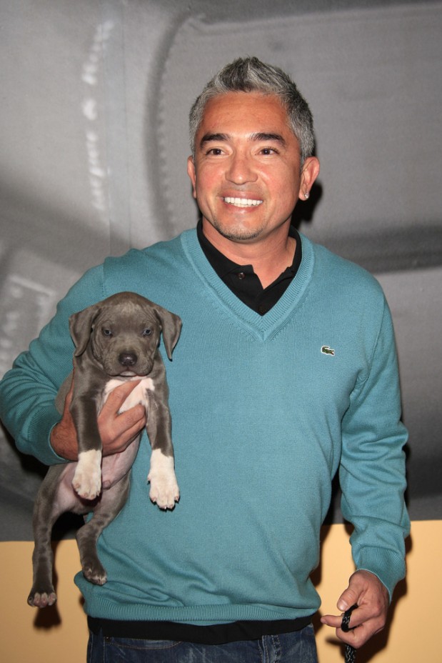 Joe Seer / Shutterstock.com