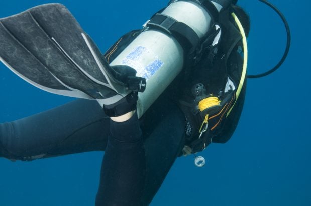 JonMilnes / Shutterstock.com