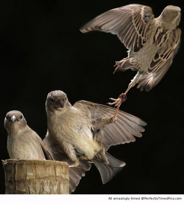 Please-dont-go-resizecrop--