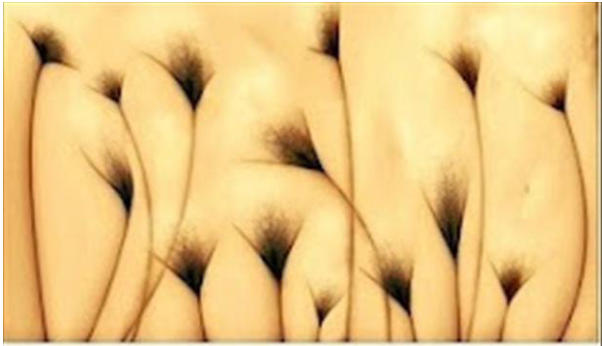 Kuvankaappaus 2014-3-15 kello 16.42.31