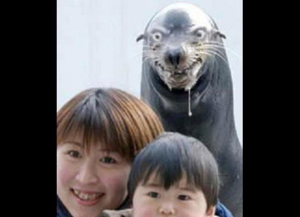 330488_448916205147535_961772398_o