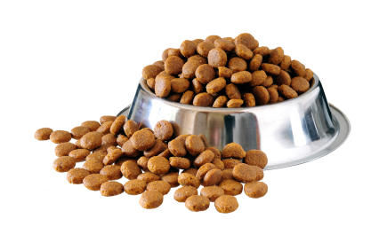 dog food over flowing in bowl