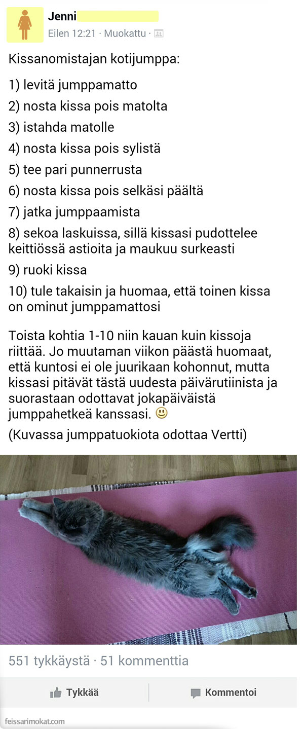 kissanomistaja-jumppaa