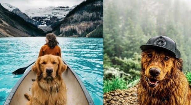 Kuvankaappaus 2016-1-19 kello 17.44.29