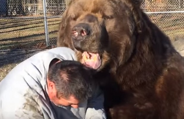 Kuvankaappaus 2016-1-8 kello 16.37.55