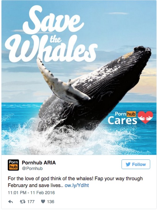 Kuvankaappaus 2016-2-15 kello 9.19.45