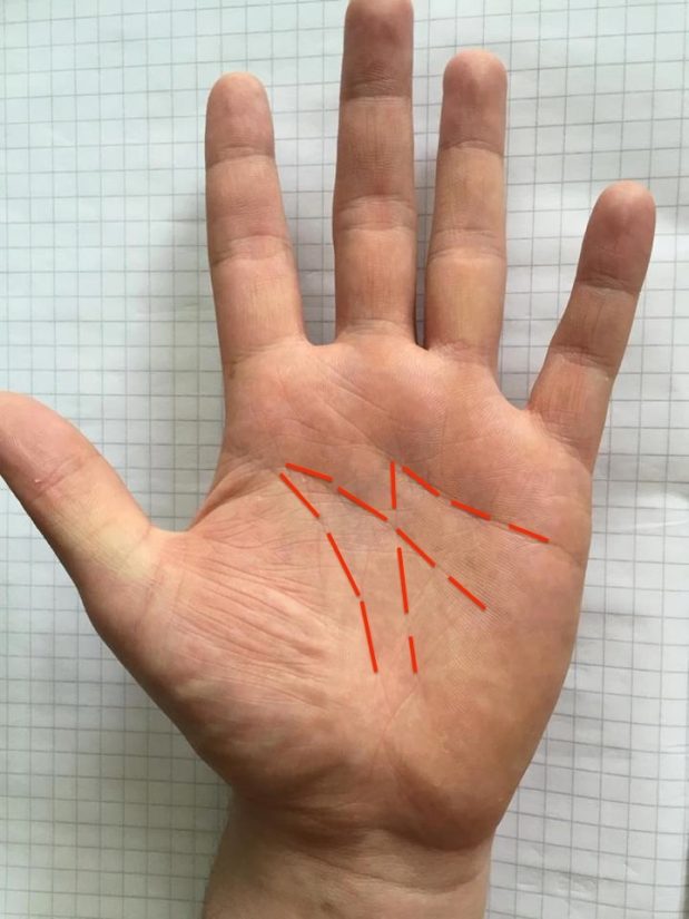 12910491_10205742385750179_1969945397_n