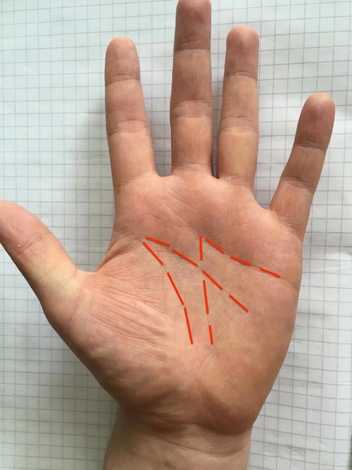 12910491_10205742385750179_1969945397_n