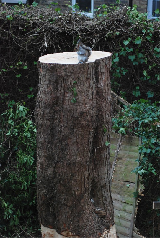 Kuvankaappaus 2016-4-18 kello 13.32.18