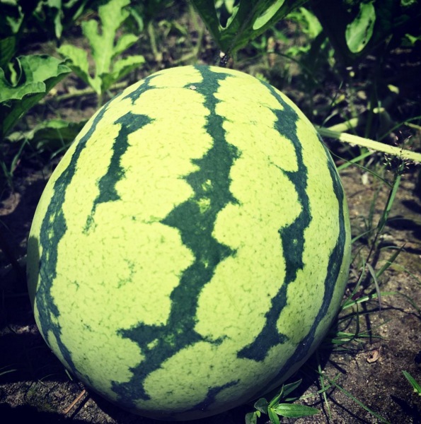 Kuvankaappaus 2016-5-26 kello 7.34.02