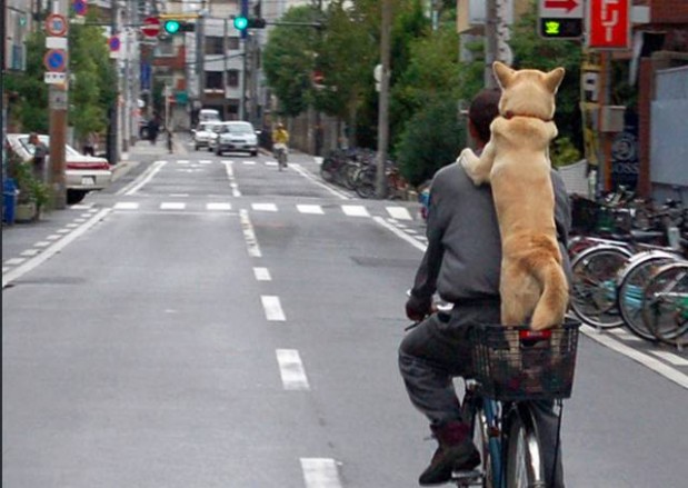 this_could_only_happen_in_china_640_25