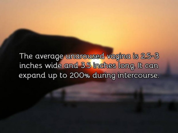 a_few_facts_about_vagina_you_need_to_know_640_21
