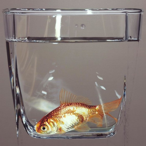 hyperrealistic-art-photorealistic-paintings-look-like-photos-101-582595596b11e__700
