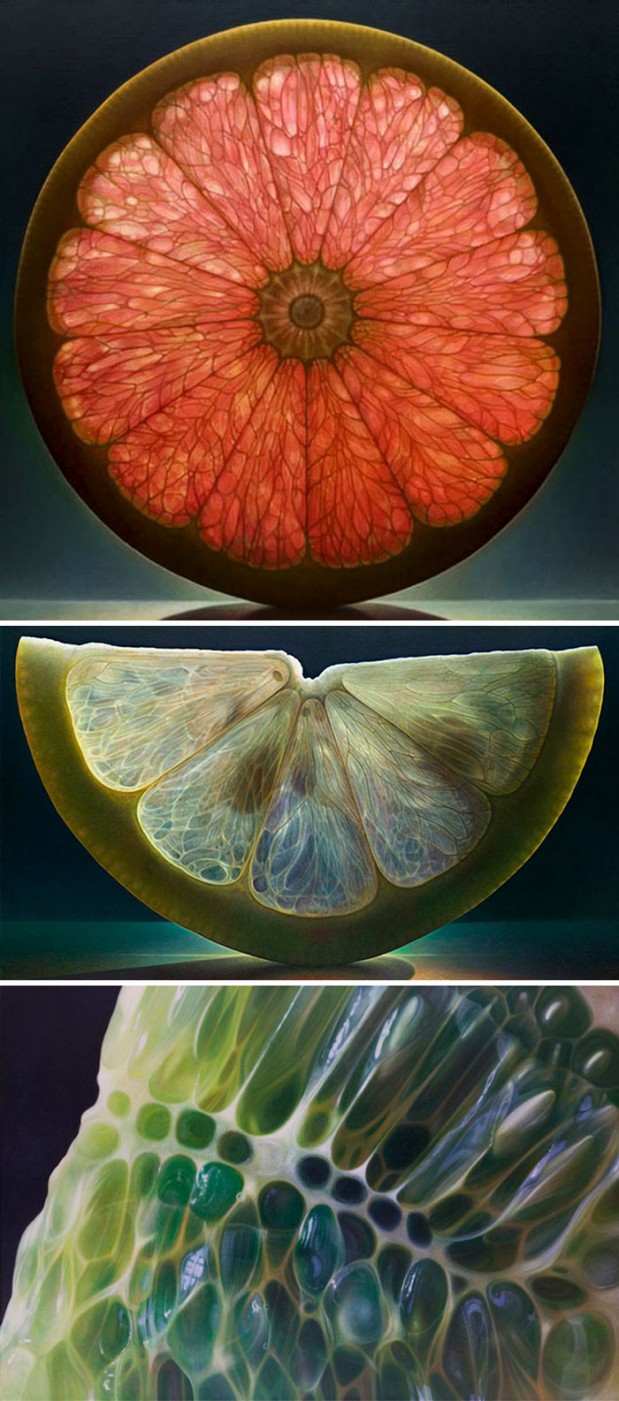 hyperrealistic-art-photorealistic-paintings-look-like-photos-189-582c4afb22bac__700