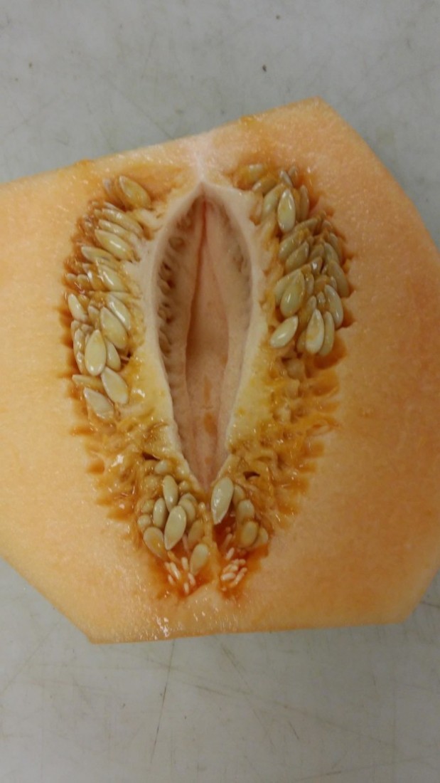 sub-buzz-29266-1479412057-1