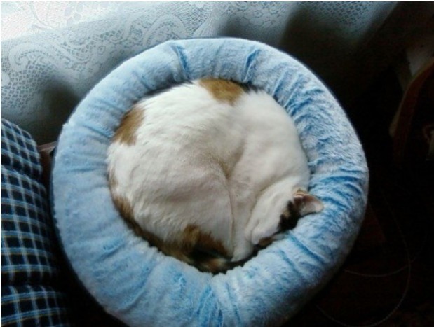 nayttokuva 2016-12-05 kello 12.55.13