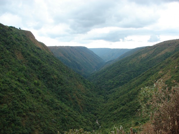 Kaziranga national park-India