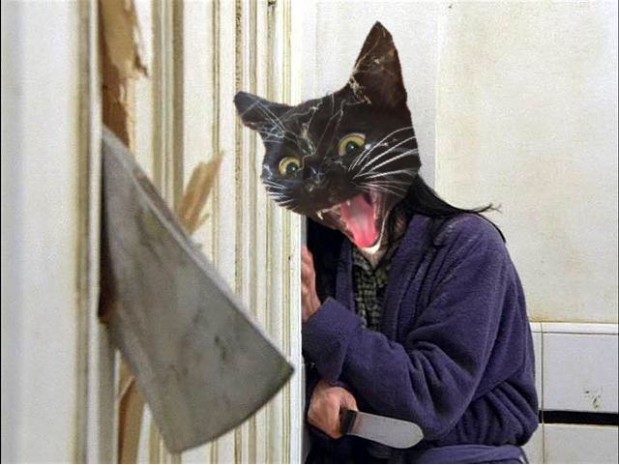 Reddit.com / Photoshopbattles