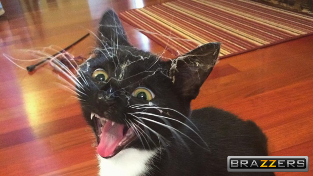 Reddit.com / Photoshopbattles