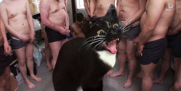 Reddit.com / Photoshopbattles