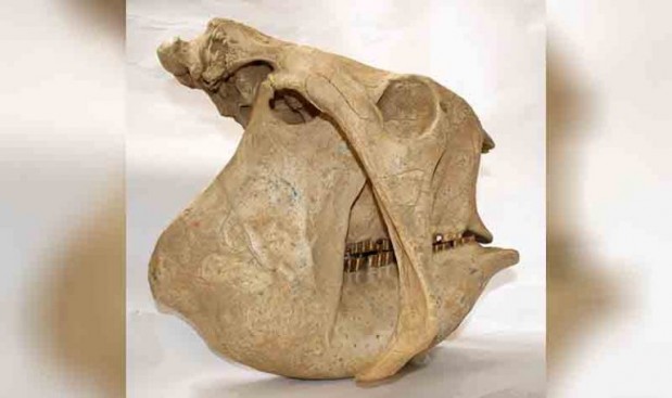 Kevin Walsh / Flickr