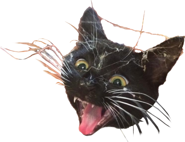 Reddit.com / Photoshopbattles