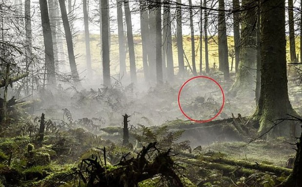 Kuva: Twitter.com / British Army