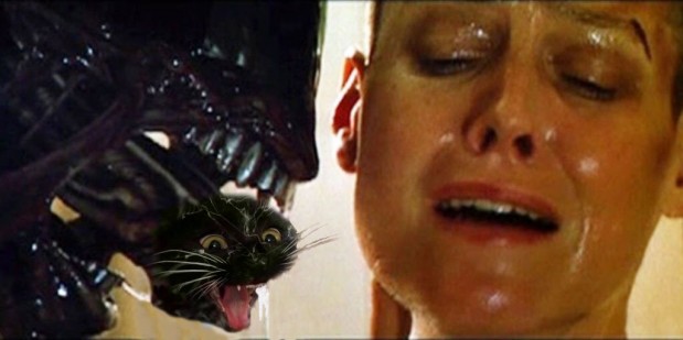 Reddit.com / Photoshopbattles