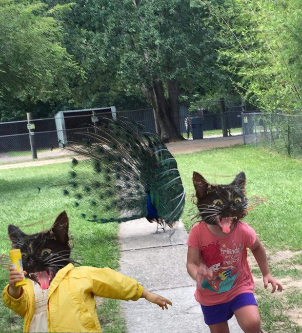 Reddit.com / Photoshopbattles