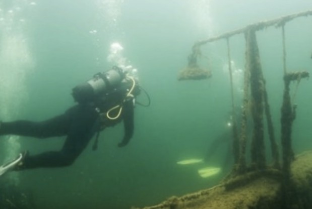 Vastauskuva 2018-4-26 kello 11.40.30