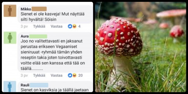 BeFunky-collage-27-619×309