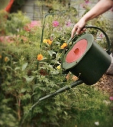 Kuva: pikkuvihrea.fi