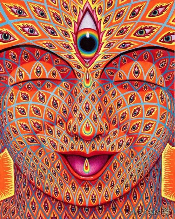 Instagram / alexgreycosm