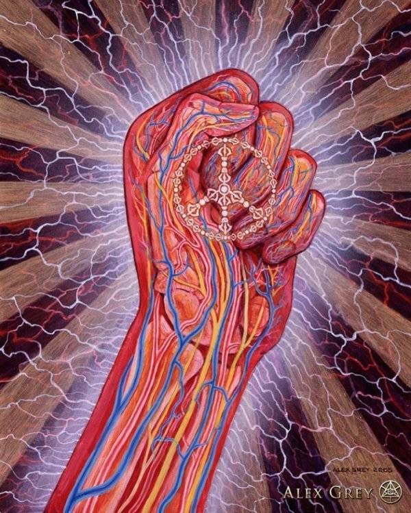 Instagram / alexgreycosm