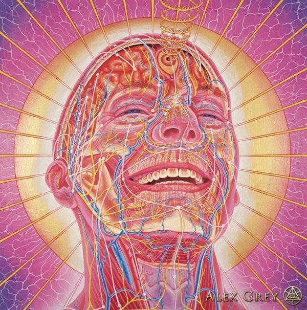 Instagram / alexgreycosm