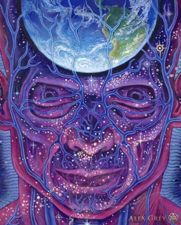 Instagram / alexgreycosm