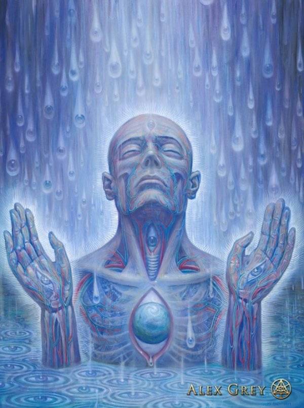 Instagram / alexgreycosm