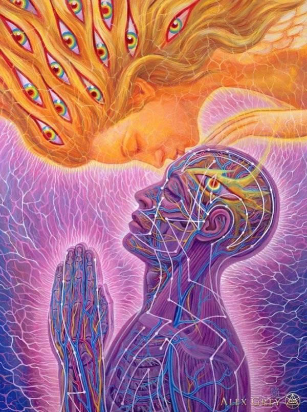 Instagram / alexgreycosm