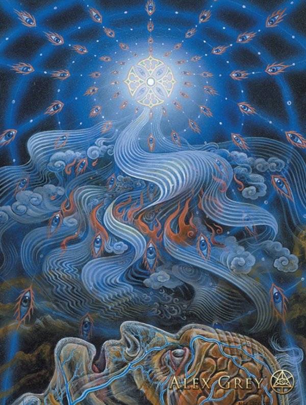 Instagram / alexgreycosm