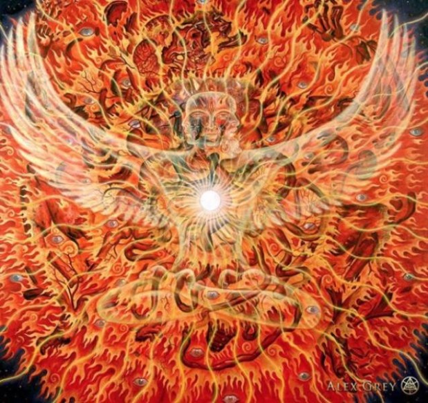 Instagram / alexgreycosm