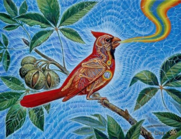 Instagram / alexgreycosm