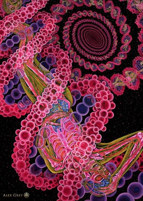 Instagram / alexgreycosm