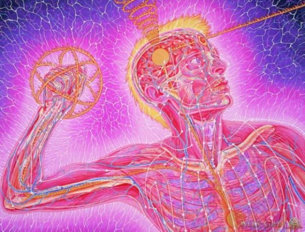 Instagram / alexgreycosm