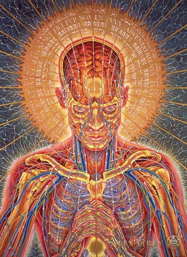 Instagram / alexgreycosm