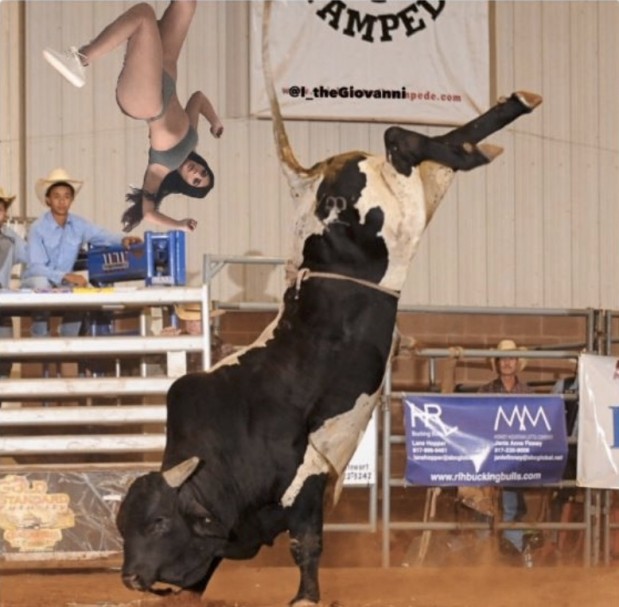 LOlkuva 2018-8-13 kello 10.45.07