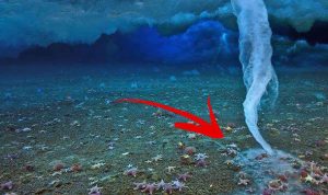 ice-finger-of-death-frozen-planet-viral-756769